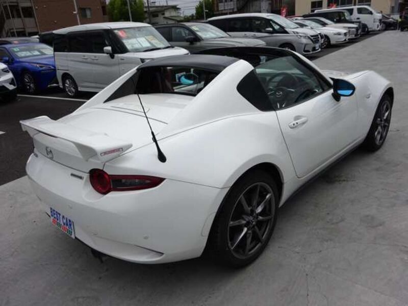 ROADSTER RF