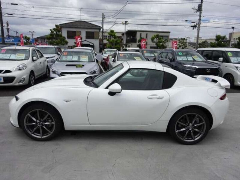 ROADSTER RF