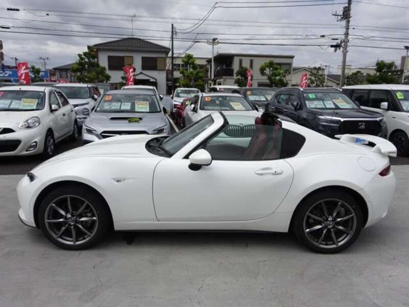 ROADSTER RF