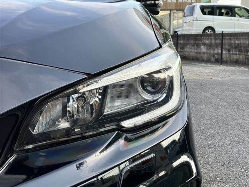 LEVORG
