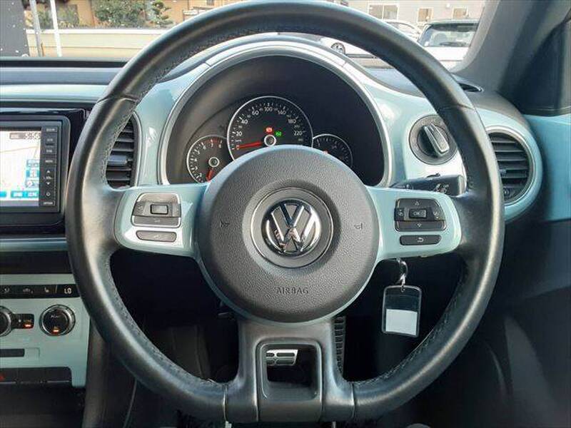 THE BEETLE