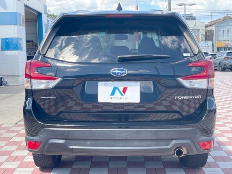 FORESTER