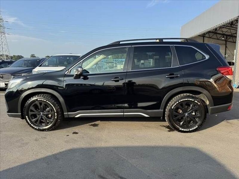 FORESTER