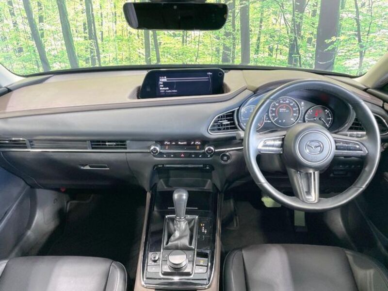 CX-30