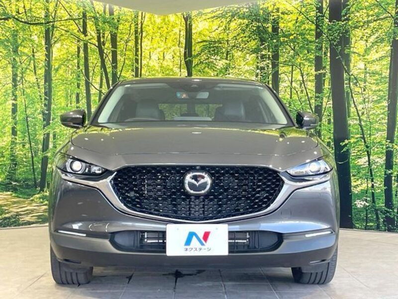 CX-30