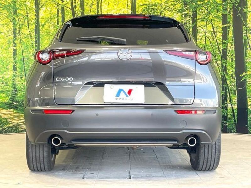 CX-30