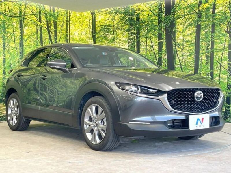 CX-30