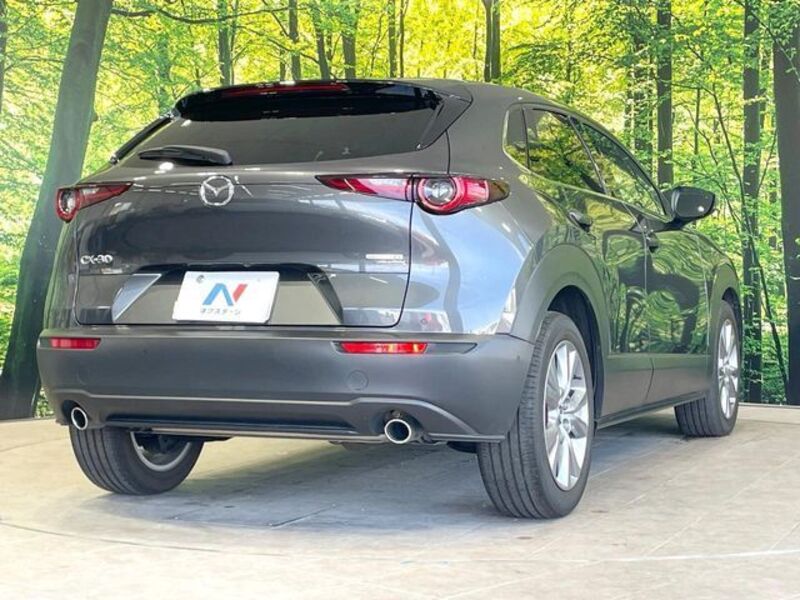 CX-30