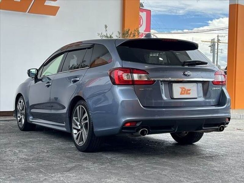 LEVORG