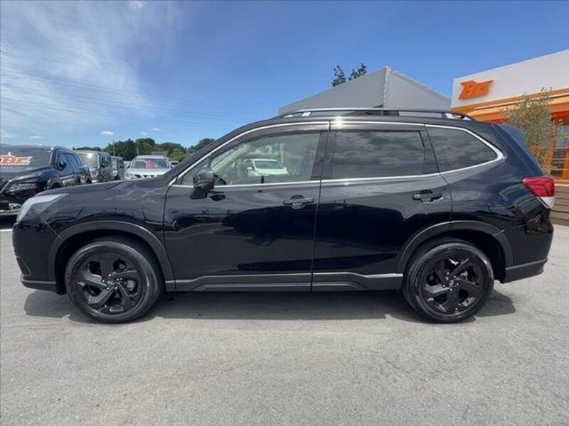 FORESTER