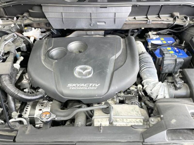 CX-8