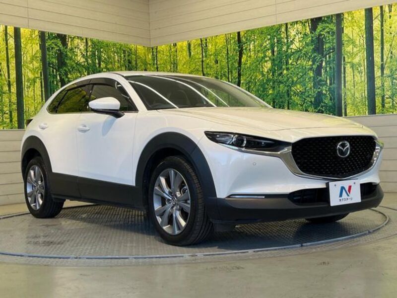 CX-30