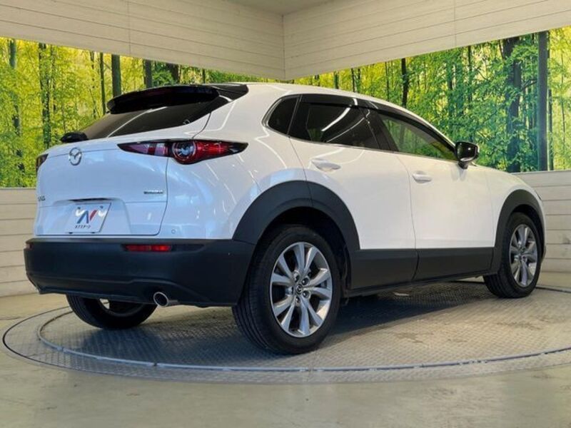 CX-30