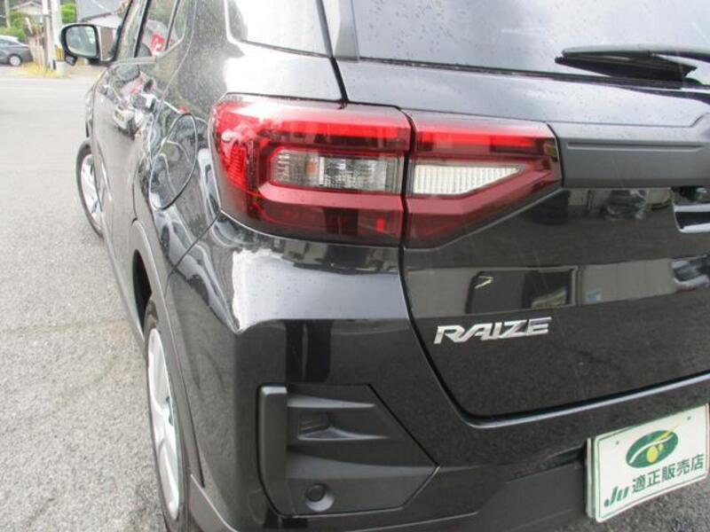 RAIZE
