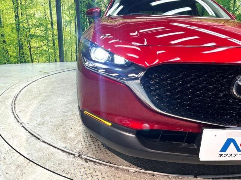 CX-30