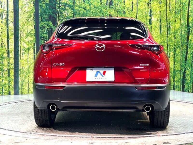 CX-30