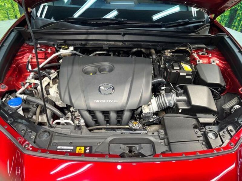 CX-30