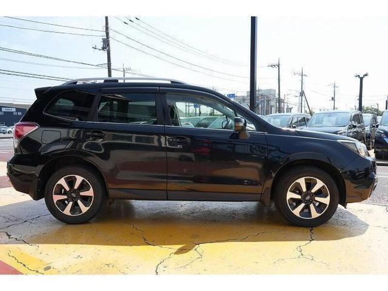 FORESTER