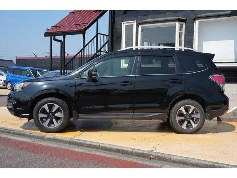 FORESTER