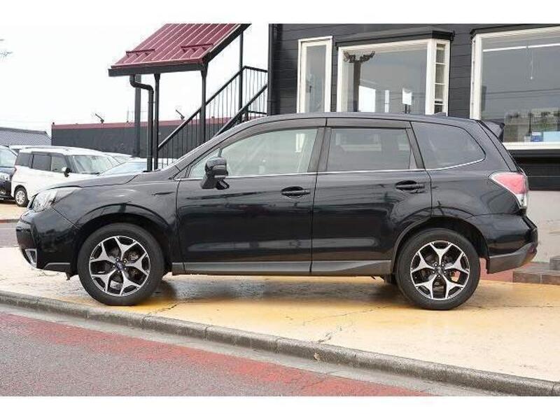 FORESTER