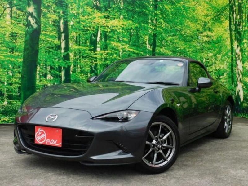 ROADSTER-0