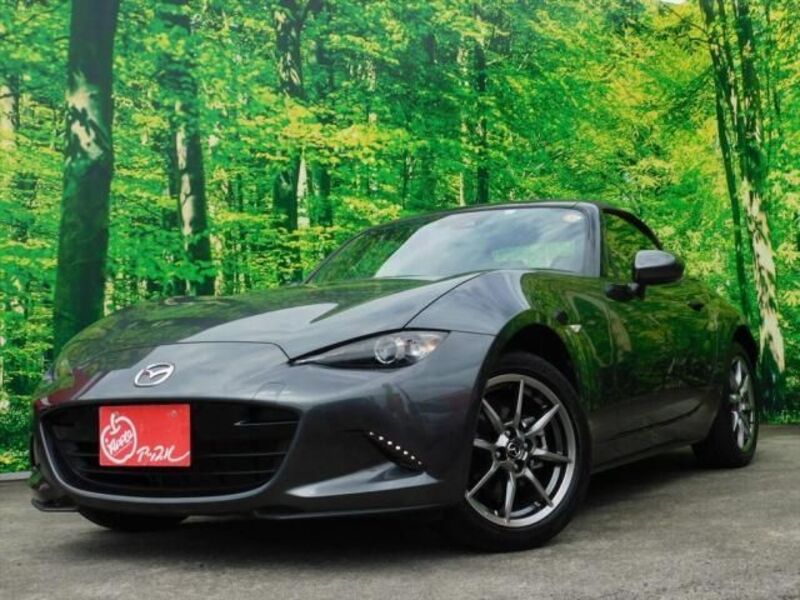 ROADSTER