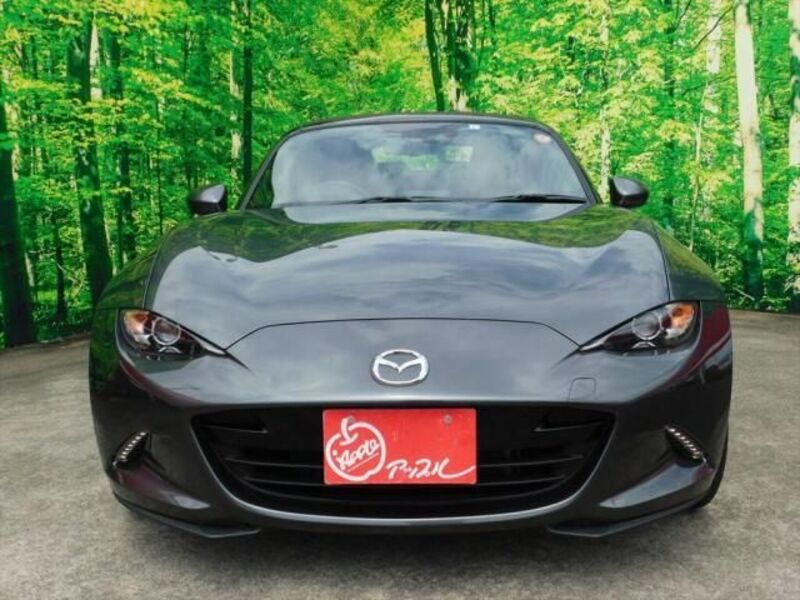 ROADSTER