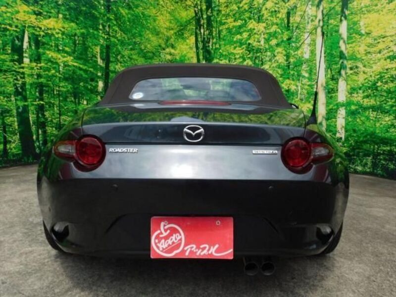 ROADSTER