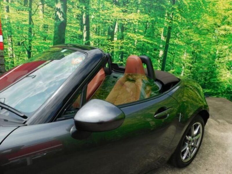 ROADSTER