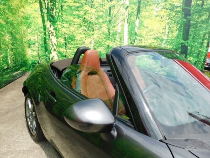 ROADSTER