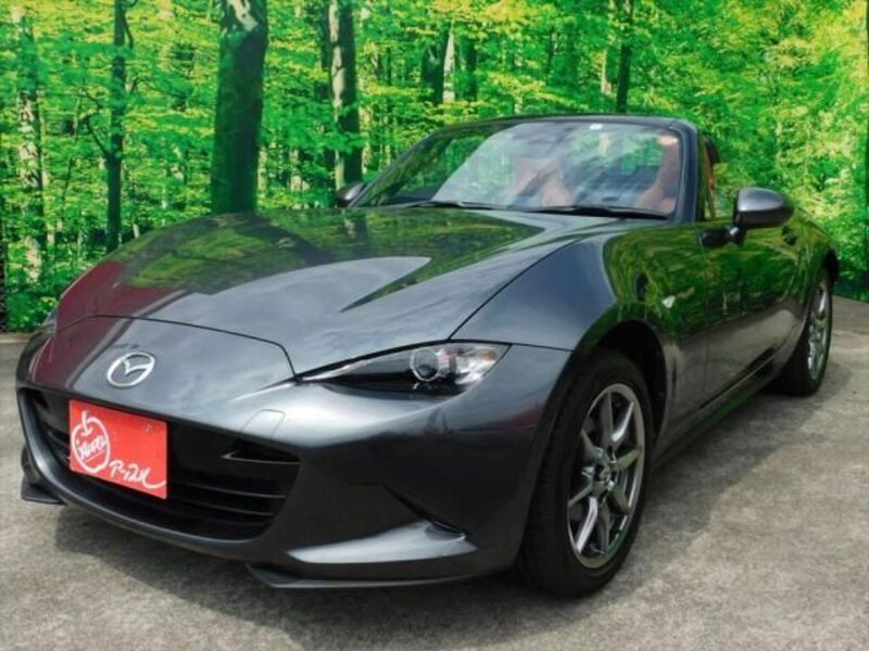 ROADSTER