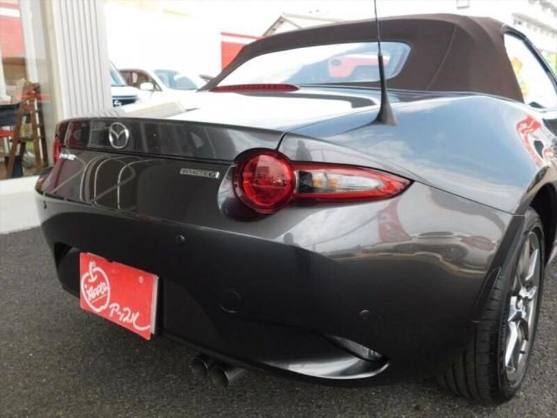 ROADSTER
