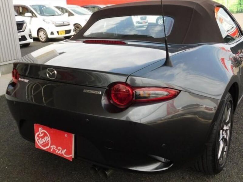 ROADSTER