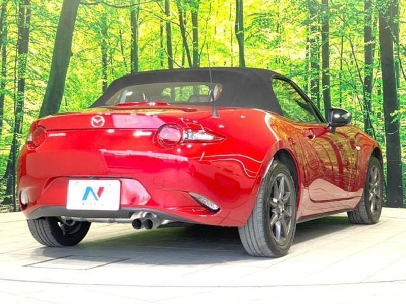 ROADSTER