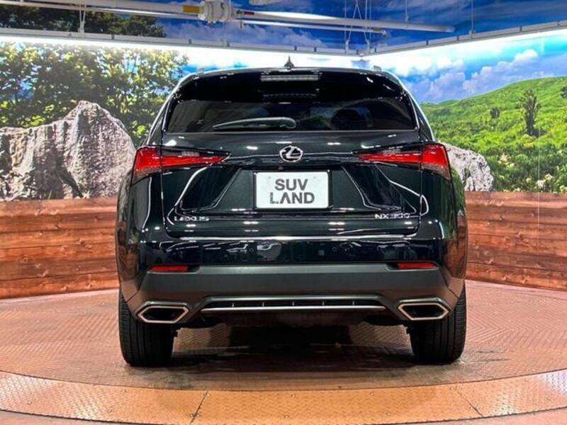 NX