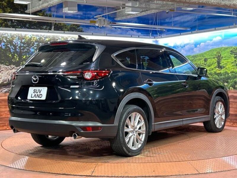 CX-8