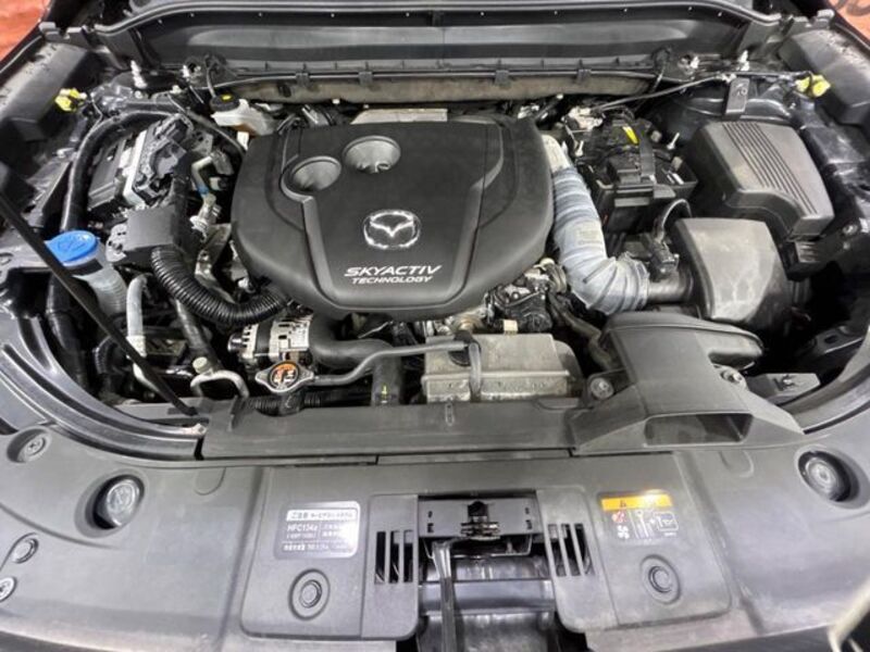 CX-8