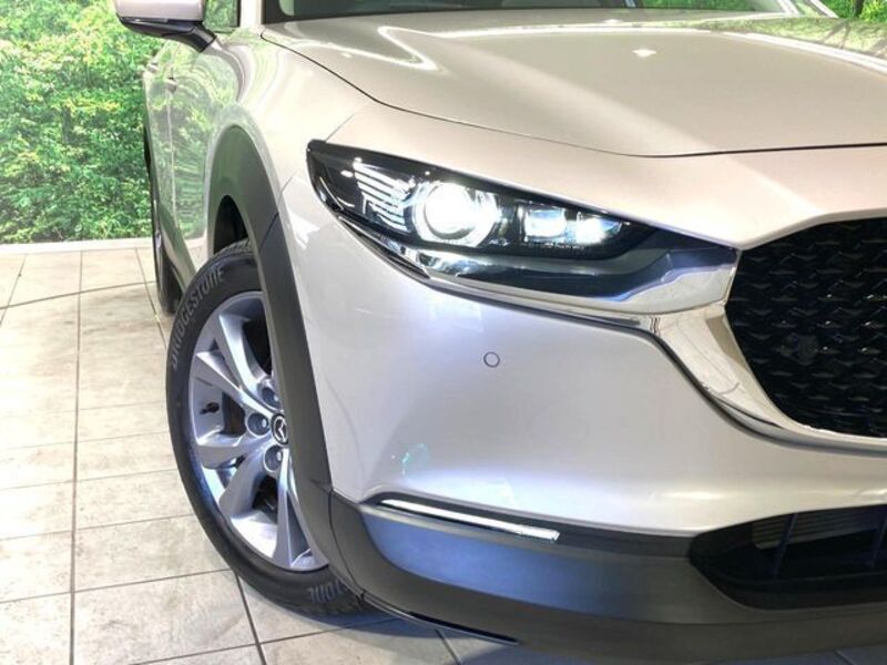 CX-30