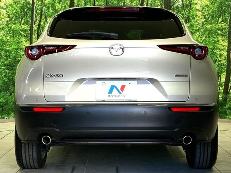 CX-30