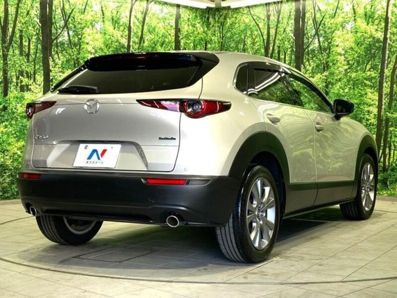 CX-30