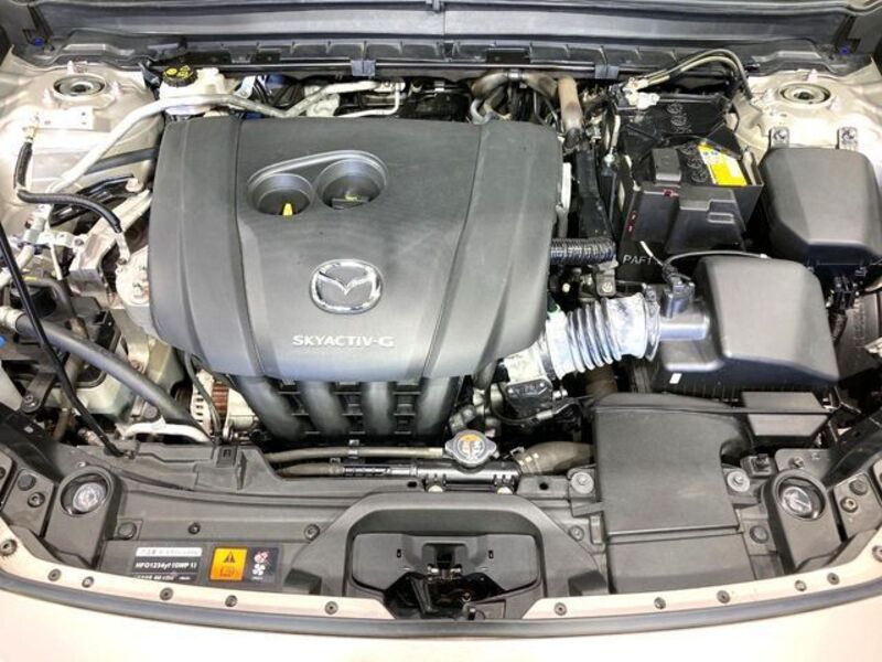 CX-30