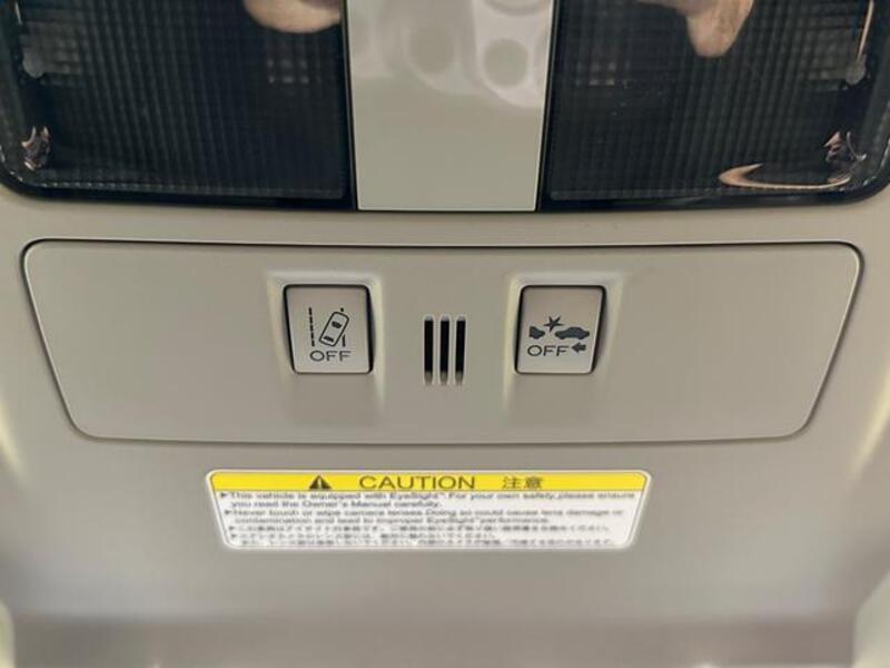 XV