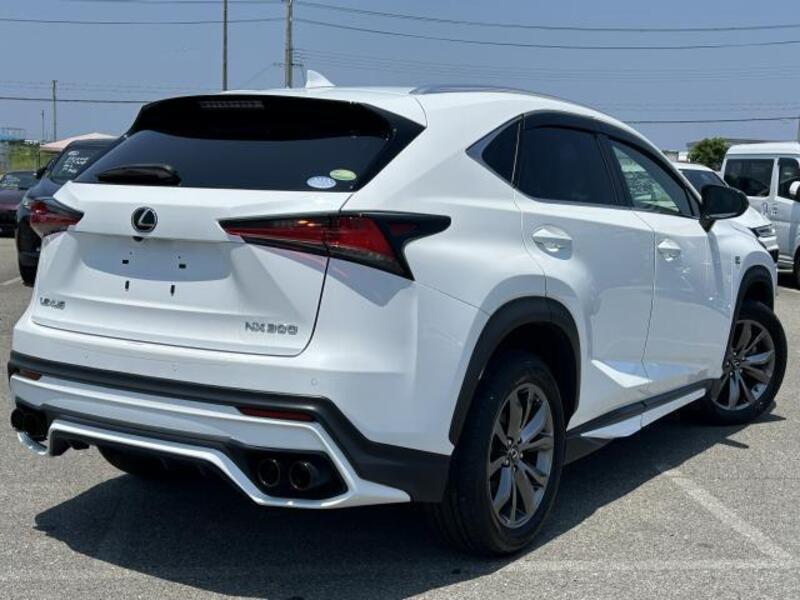 NX