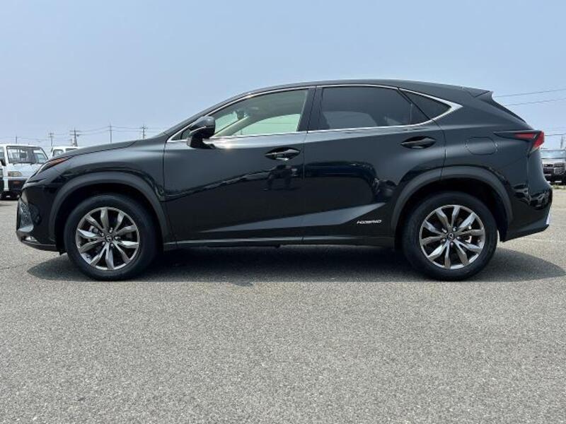 NX