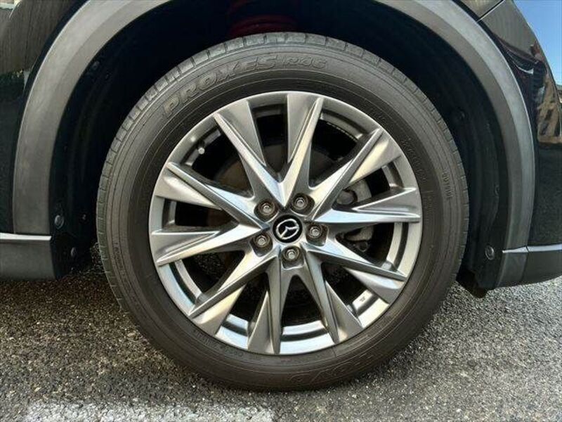 CX-8
