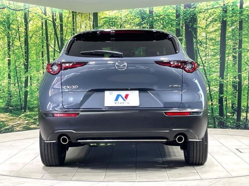 CX-30
