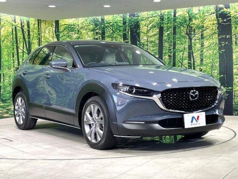 CX-30