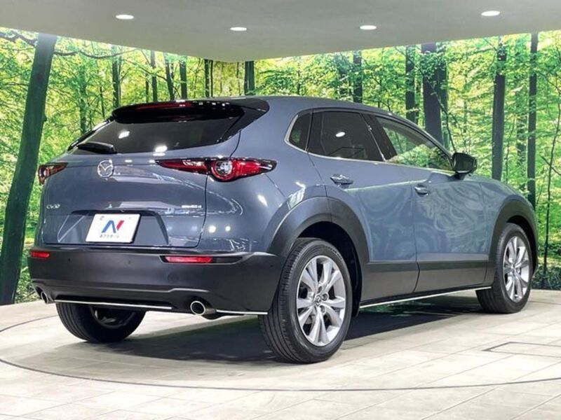CX-30