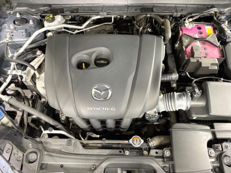 CX-30