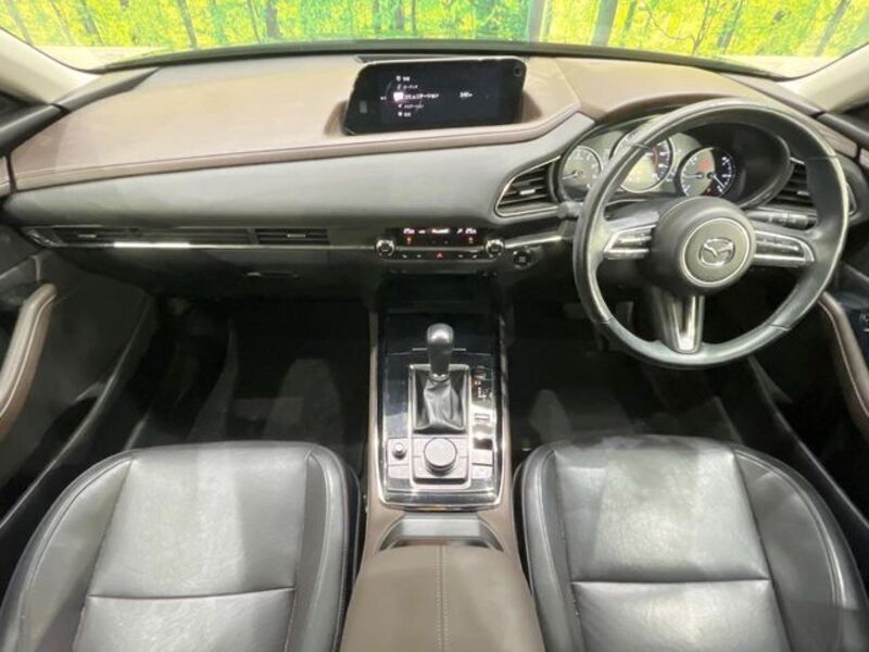 CX-30